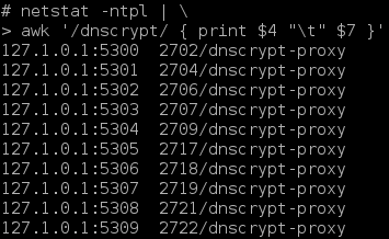 [ dnscrypt-proxy netstat ]